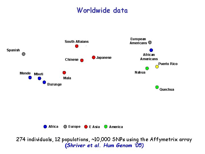 Worldwide data European Americans South Altaians - Spanish Chinese Japanese African Americans Puerto Rico