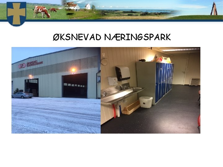 ØKSNEVAD NÆRINGSPARK 