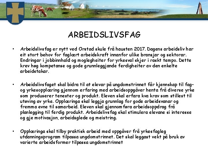 ARBEIDSLIVSFAG • Arbeidslivsfag er nytt ved Orstad skule frå hausten 2017. Dagens arbeidsliv har