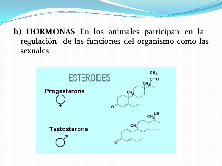 b) HORMONAS En los animales participan en la regulación de las funciones del organismo