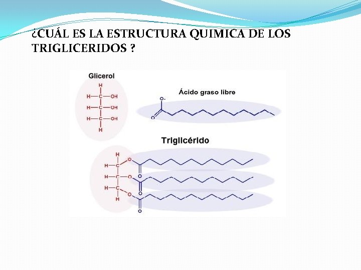 ¿CUÁL ES LA ESTRUCTURA QUIMICA DE LOS TRIGLICERIDOS ? 