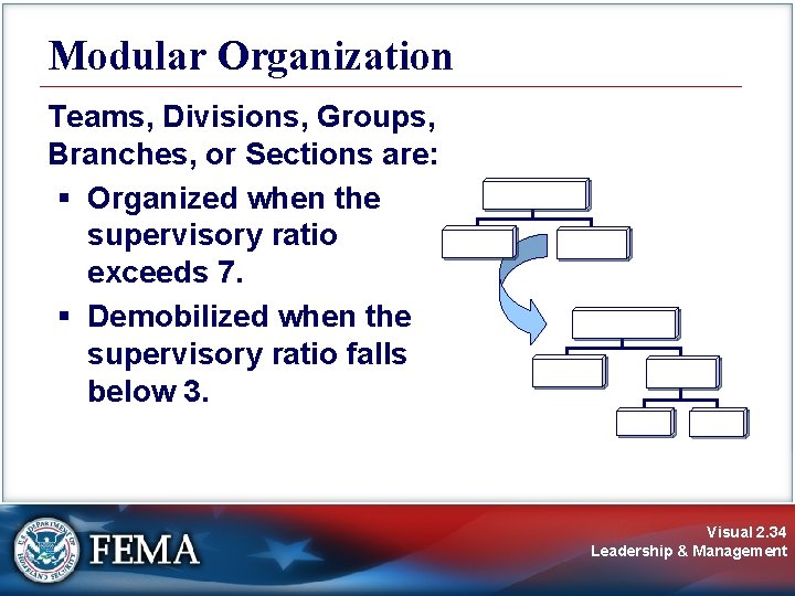 Modular Organization Teams, Divisions, Groups, Branches, or Sections are: § Organized when the supervisory Modular Organization Teams, Divisions, Groups, Branches, or Sections are: § Organized when the supervisory