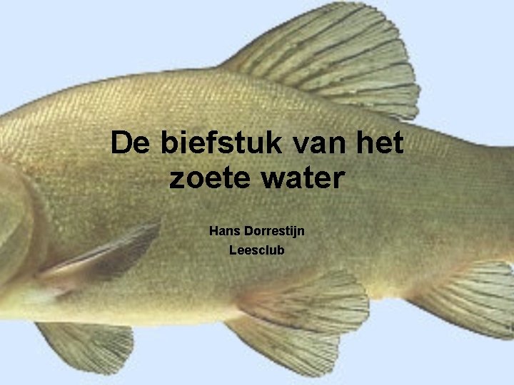 De biefstuk van het zoete water Hans Dorrestijn Leesclub 