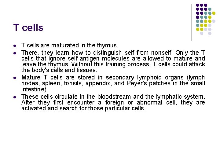 T cells l l T cells are maturated in the thymus. There, they learn