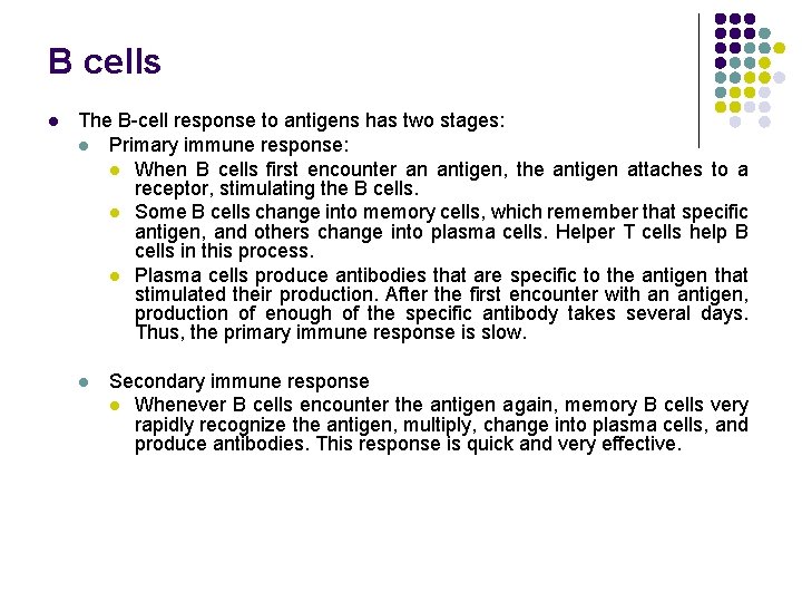 B cells l The B-cell response to antigens has two stages: l Primary immune
