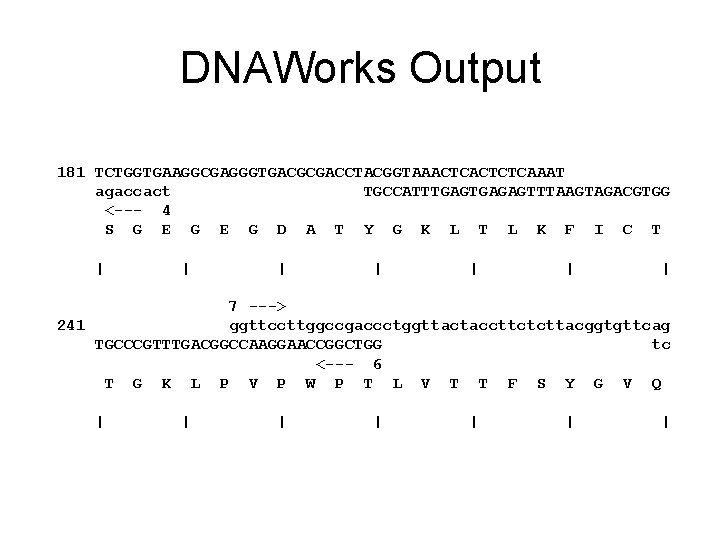 DNAWorks Output 181 TCTGGTGAAGGCGAGGGTGACGCGACCTACGGTAAACTCTCAAAT agaccact TGCCATTTGAGAGTTTAAGTAGACGTGG <--- 4 S G E G D A