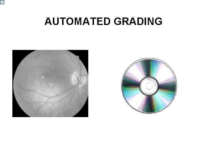 AUTOMATED GRADING 