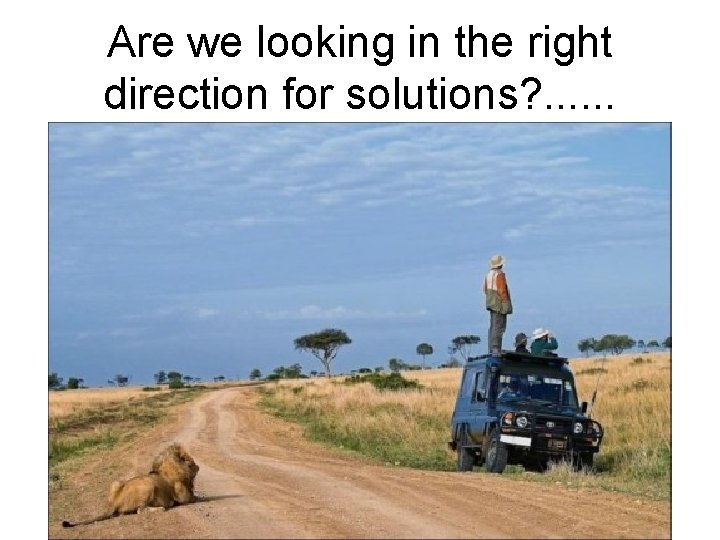 Are we looking in the right direction for solutions? . . . 