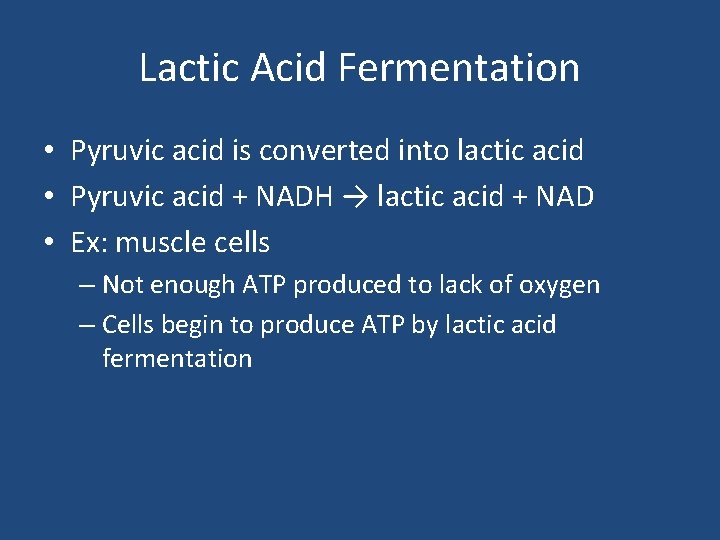 Lactic Acid Fermentation • Pyruvic acid is converted into lactic acid • Pyruvic acid