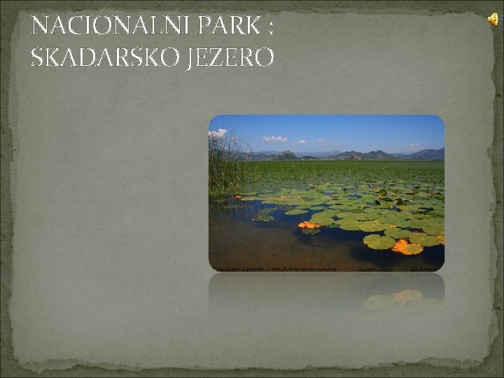 NACIONALNI PARK : SKADARSKO JEZERO NACIONALNI PARK : SKADARSKO JEZERO