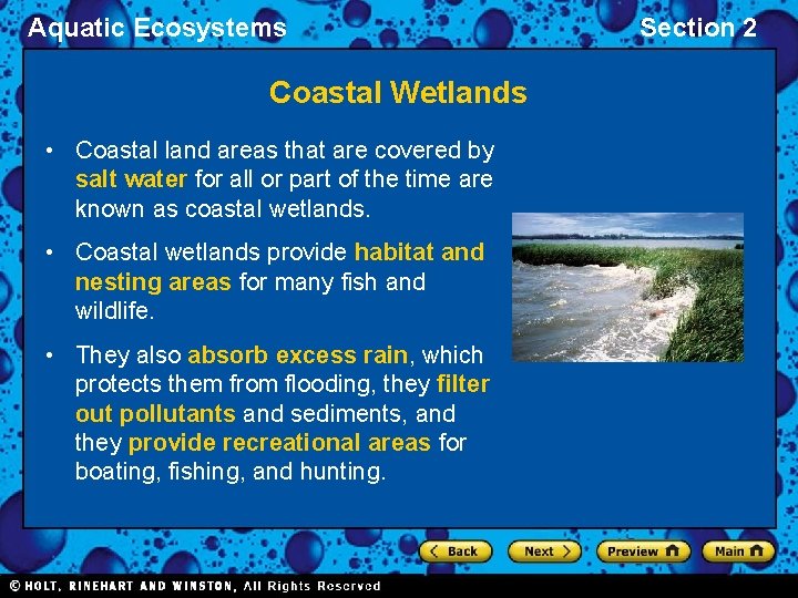 Aquatic Ecosystems Coastal Wetlands • Coastal land areas that are covered by salt water