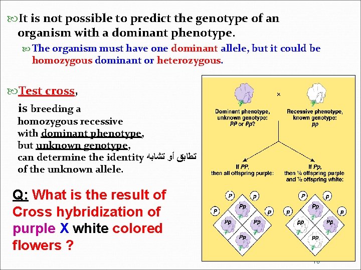  It is not possible to predict the genotype of an organism with a