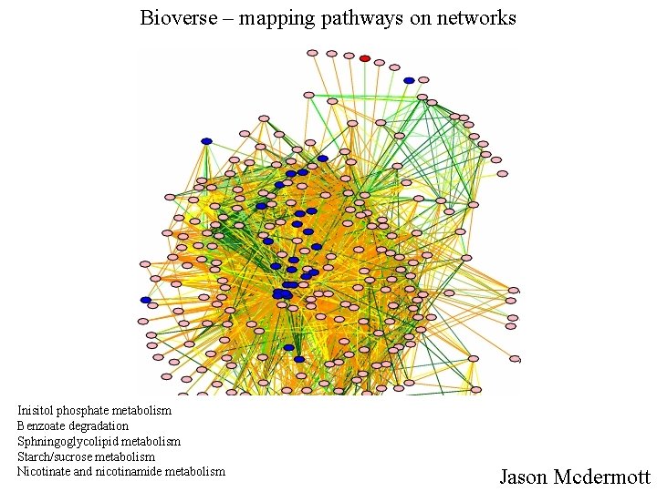 Bioverse – mapping pathways on networks Inisitol phosphate metabolism Benzoate degradation Sphningoglycolipid metabolism Starch/sucrose