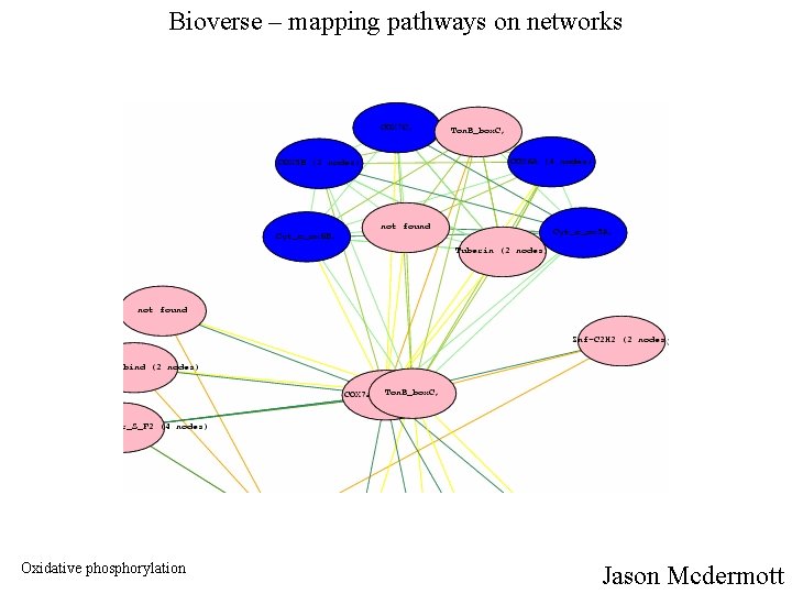 Bioverse – mapping pathways on networks Oxidative phosphorylation Jason Mcdermott 