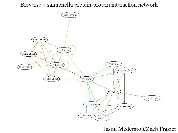 Bioverse – salmonella protein-protein interaction network Jason Mcdermott/Zach Frazier 