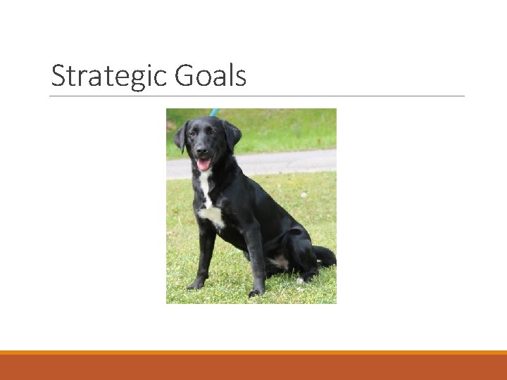 Strategic Goals 