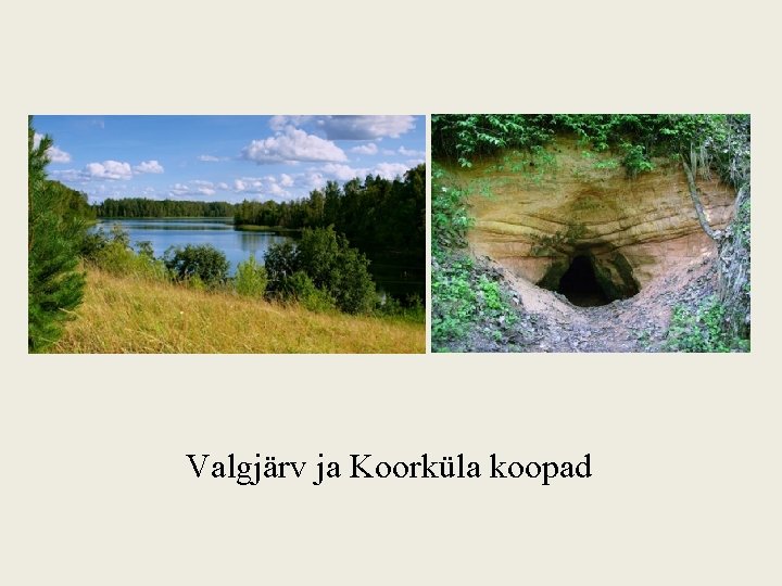 Valgjärv ja Koorküla koopad 