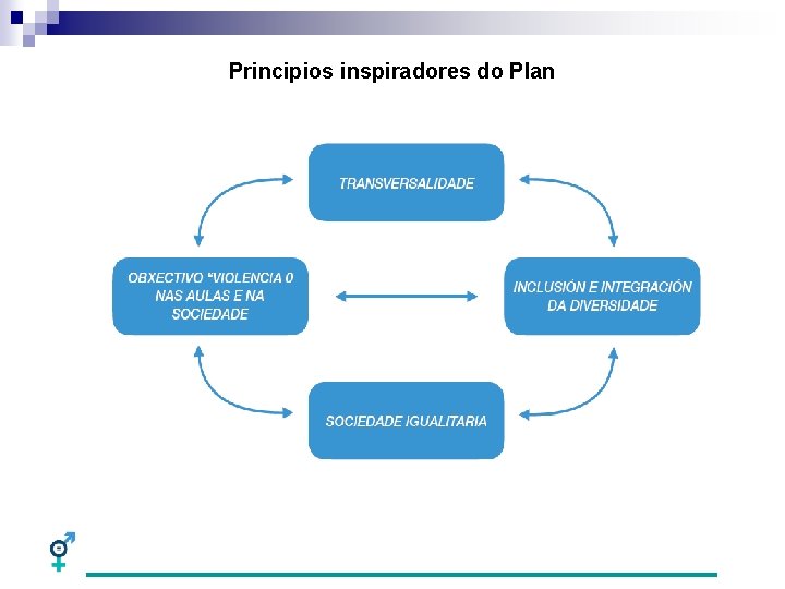 Principios inspiradores do Plan 