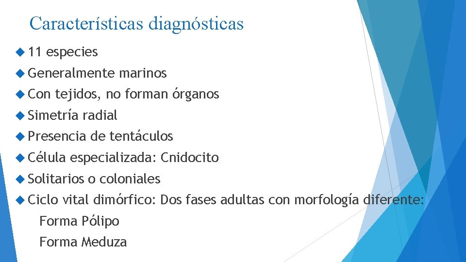 Características diagnósticas 11 especies Generalmente Con marinos tejidos, no forman órganos Simetría radial Presencia