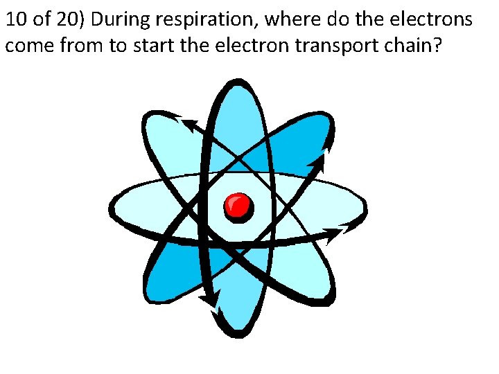 10 of 20) During respiration, where do the electrons come from to start the