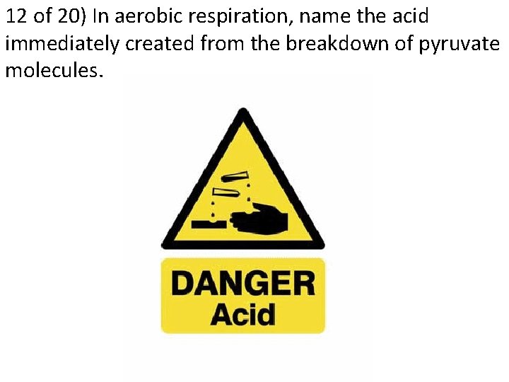 12 of 20) In aerobic respiration, name the acid immediately created from the breakdown