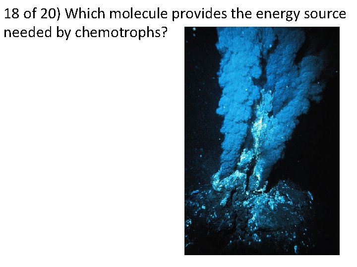 18 of 20) Which molecule provides the energy source needed by chemotrophs? 