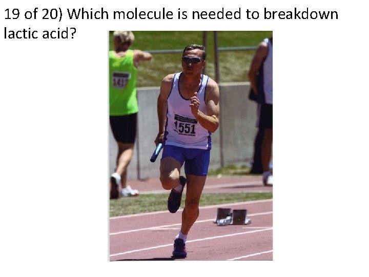 19 of 20) Which molecule is needed to breakdown lactic acid? 