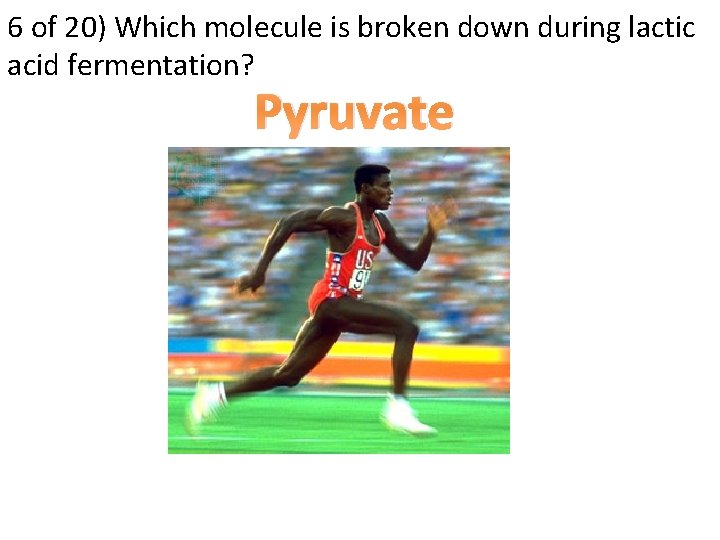 6 of 20) Which molecule is broken down during lactic acid fermentation? Pyruvate 