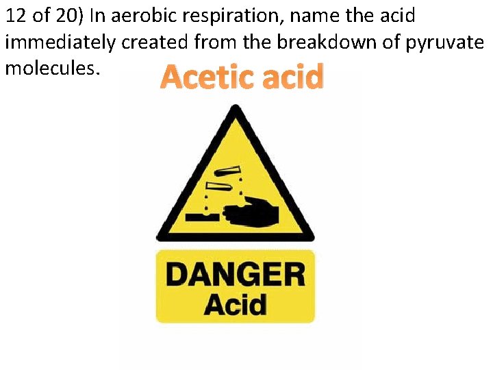 12 of 20) In aerobic respiration, name the acid immediately created from the breakdown