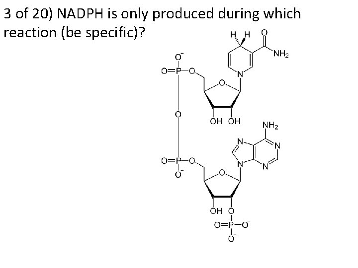 3 of 20) NADPH is only produced during which reaction (be specific)? 