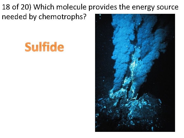 18 of 20) Which molecule provides the energy source needed by chemotrophs? Sulfide 