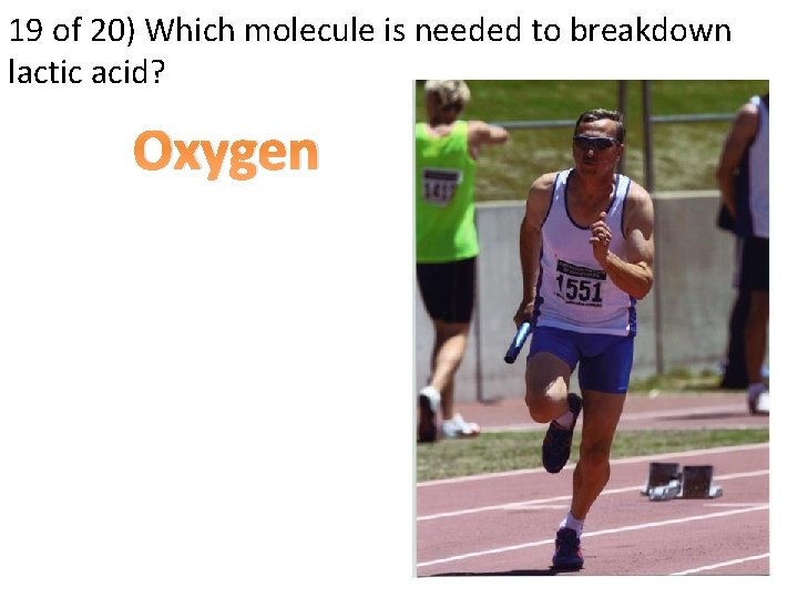 19 of 20) Which molecule is needed to breakdown lactic acid? Oxygen 