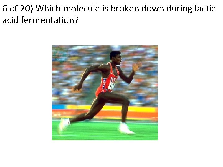 6 of 20) Which molecule is broken down during lactic acid fermentation? 