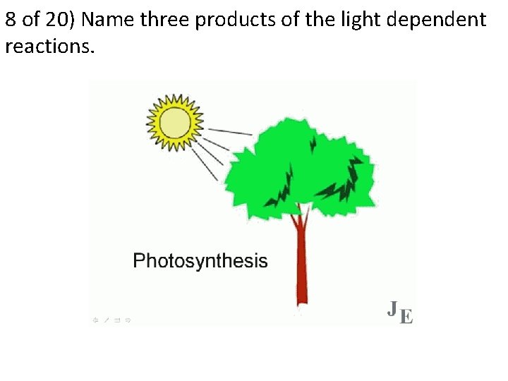 8 of 20) Name three products of the light dependent reactions. 