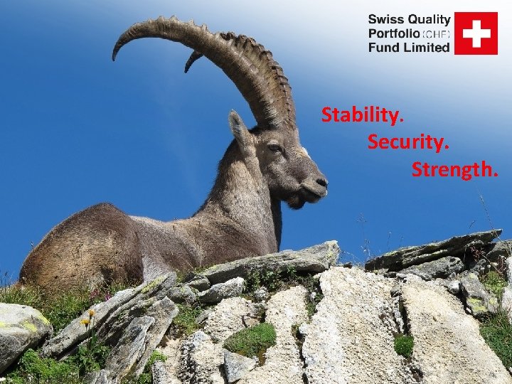 Stability. Security. Strength. 