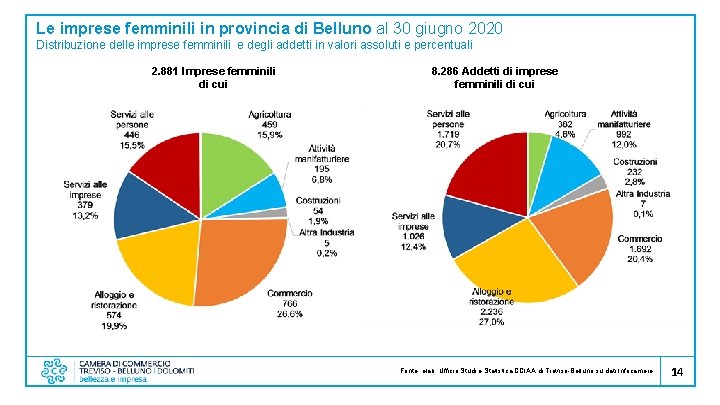 Le imprese femminili in provincia di Belluno al 30 giugno 2020 Distribuzione delle imprese