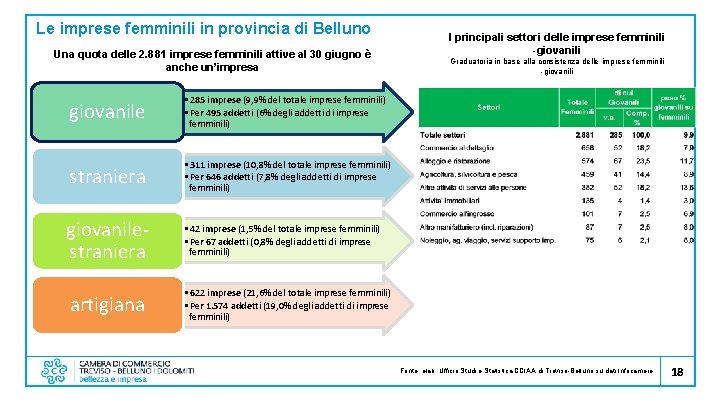 Le imprese femminili in provincia di Belluno Una quota delle 2. 881 imprese femminili