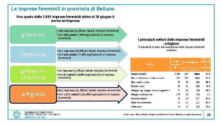 Le imprese femminili in provincia di Belluno Una quota delle 2. 881 imprese femminili