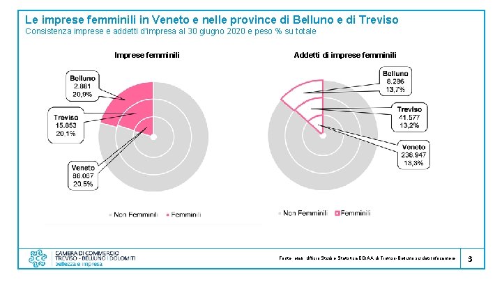 Le imprese femminili in Veneto e nelle province di Belluno e di Treviso Consistenza