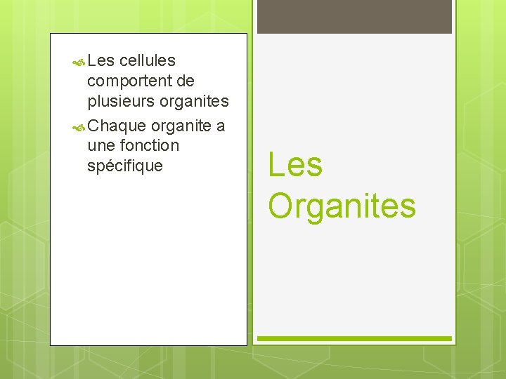  Les cellules comportent de plusieurs organites Chaque organite a une fonction spécifique Les