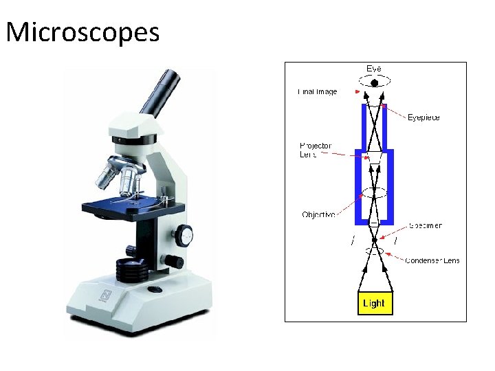 Microscopes 