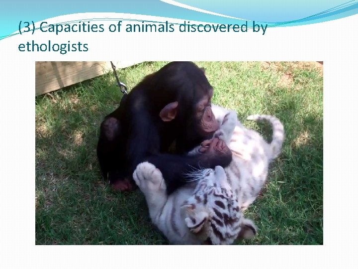 (3) Capacities of animals discovered by ethologists 
