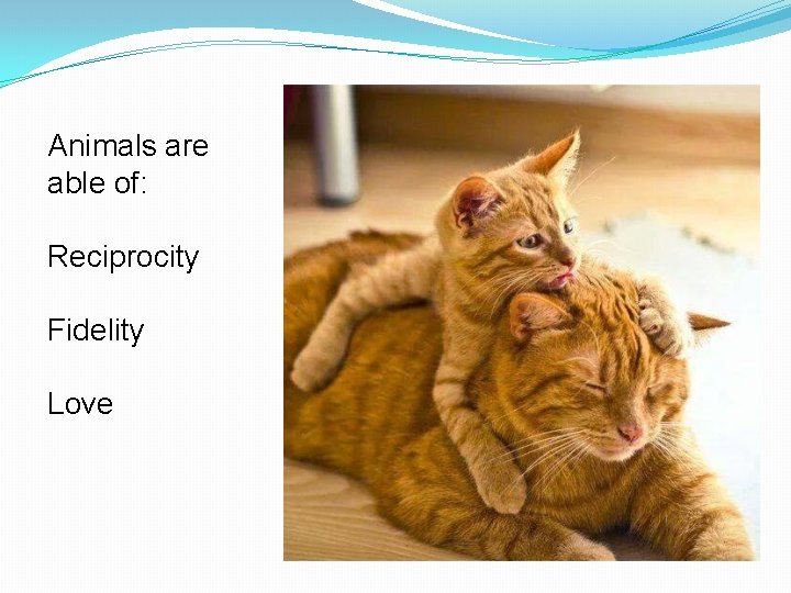 Animals are able of: Reciprocity Fidelity Love 