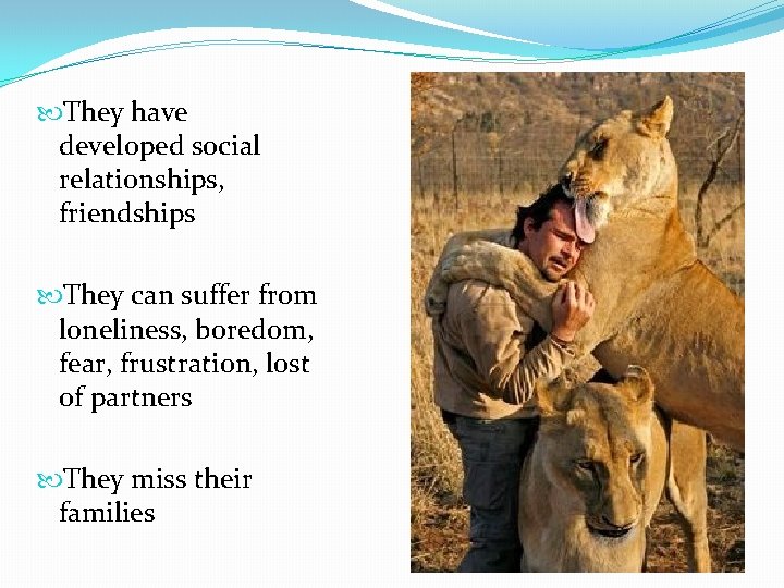  They have developed social relationships, friendships They can suffer from loneliness, boredom, fear,