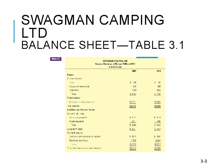 SWAGMAN CAMPING LTD BALANCE SHEET—TABLE 3. 1 3 -3 
