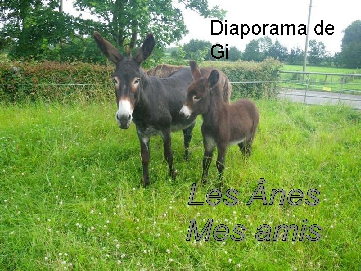 Diaporama de Gi 