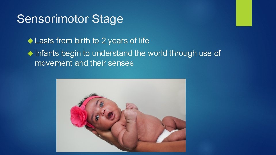 Sensorimotor Stage Lasts from birth to 2 years of life Infants begin to understand