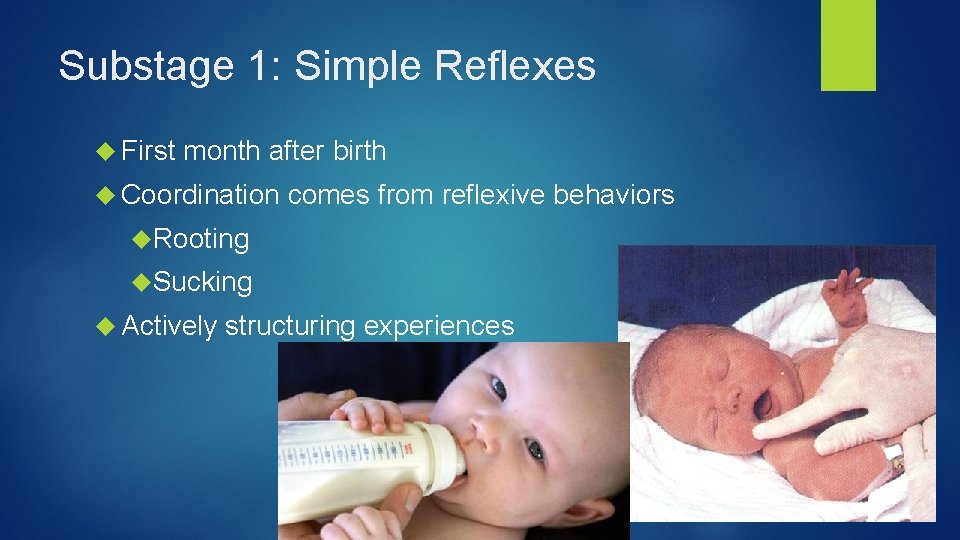 Substage 1: Simple Reflexes First month after birth Coordination comes from reflexive behaviors Rooting