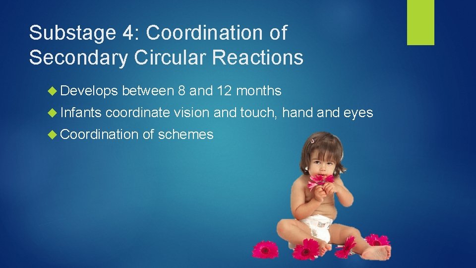 Substage 4: Coordination of Secondary Circular Reactions Develops Infants between 8 and 12 months