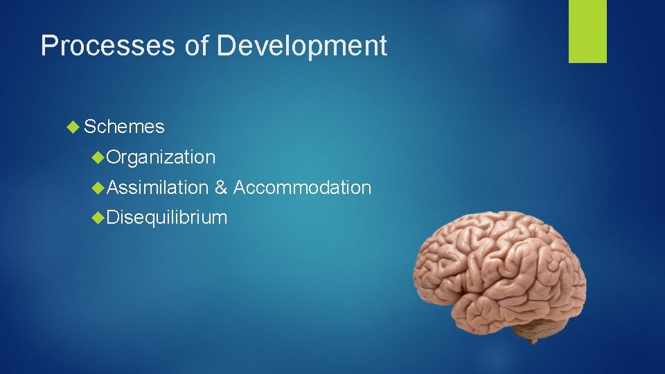 Processes of Development Schemes Organization Assimilation & Accommodation Disequilibrium 